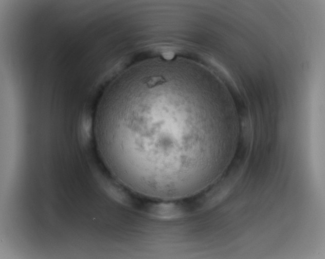 X0000114430406200910161339