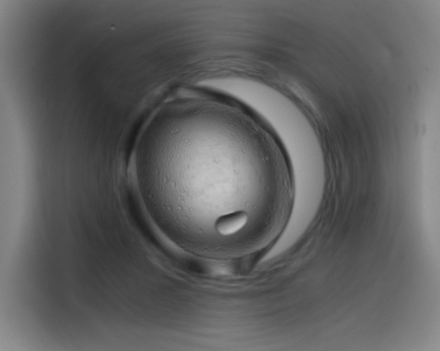 X0000114430407200910161339