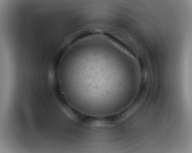 X0000114430408200910161339