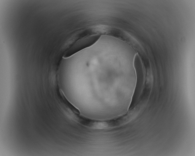 X0000114430409200910161339