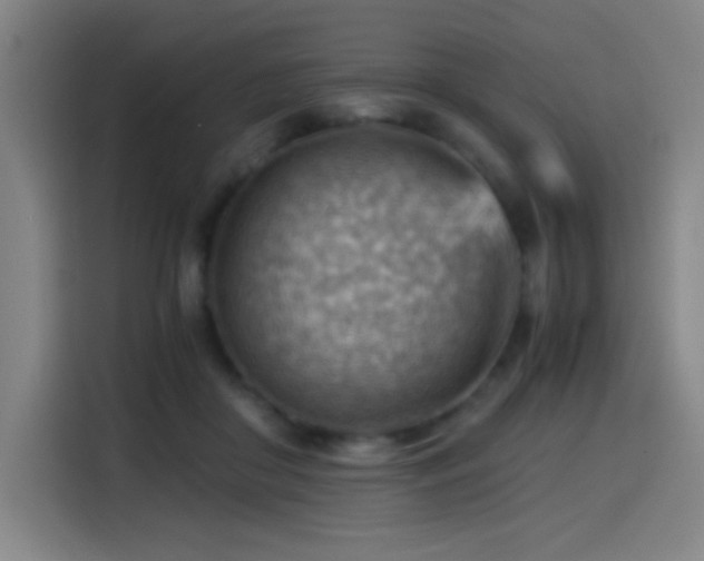 X0000114430410200910161339
