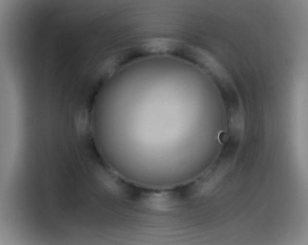 X0000114430411200910161339