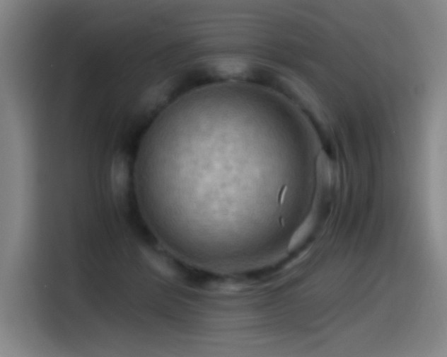 X0000114430412200910161339