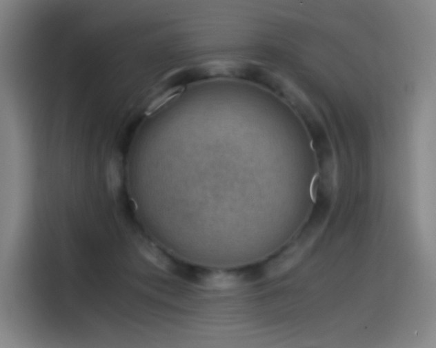 X0000114430413200910161339