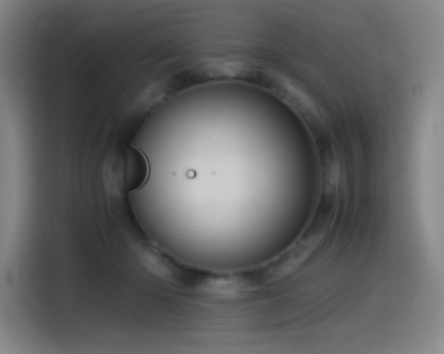 X0000114430414200910161339