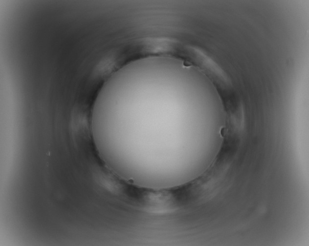 X0000114430415200910161339