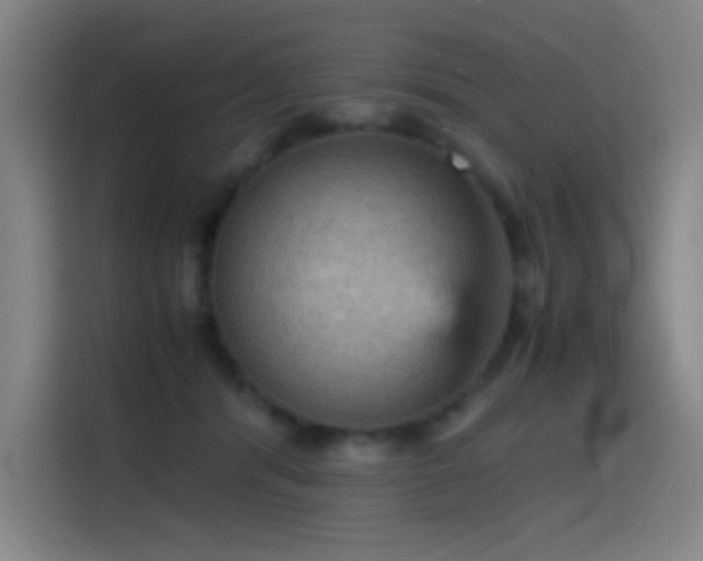 X0000114430416200910161339