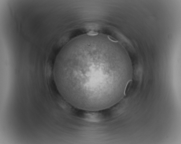 X0000114430417200910161339