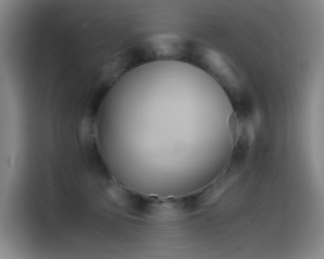 X0000114430419200910161339