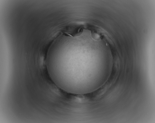 X0000114430420200910161339