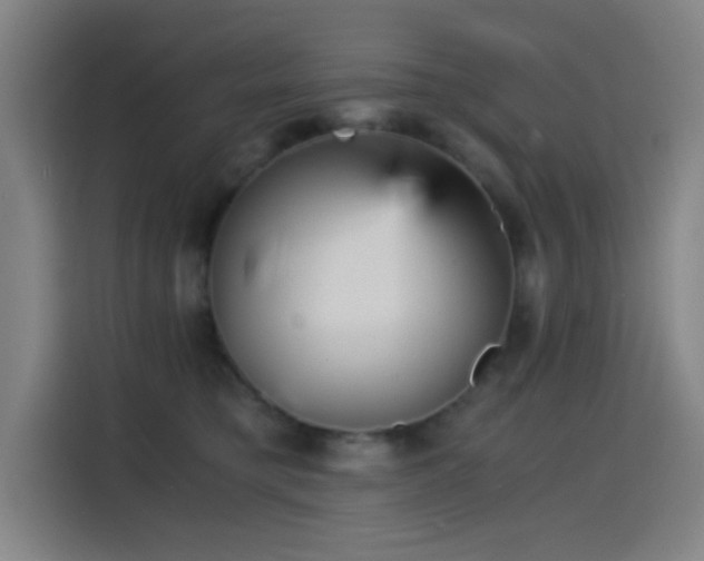 X0000114430421200910161339