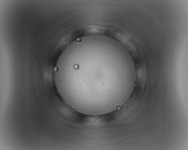 X0000114430423200910161339