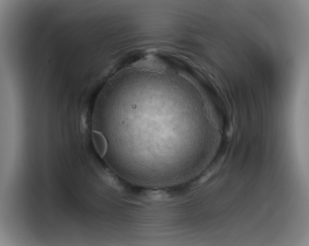 X0000114430424200910161339