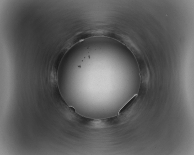 X0000114430425200910161339