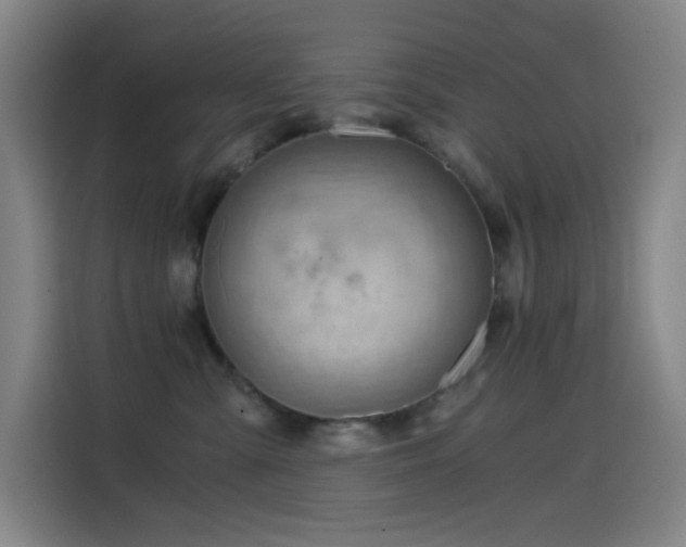 X0000114430427200910161339