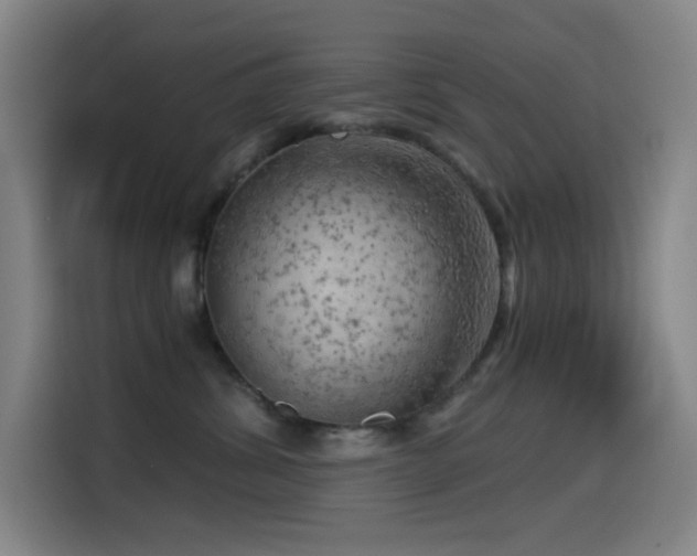 X0000114430428200910161339