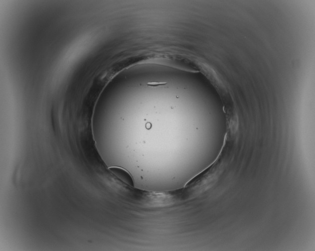 X0000114430429200910161339