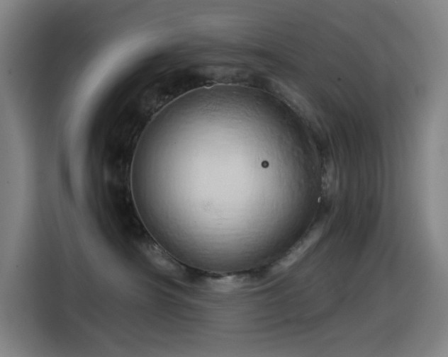 X0000114430430200910161339