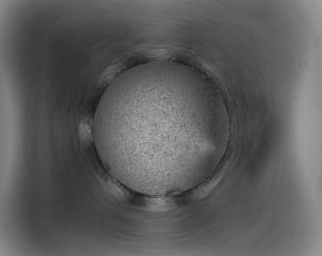 X0000114430432200910161339