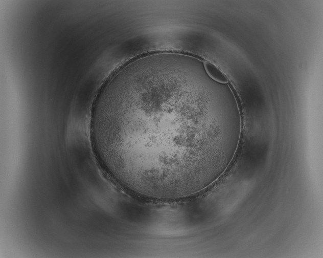 X0000114430434200910161338