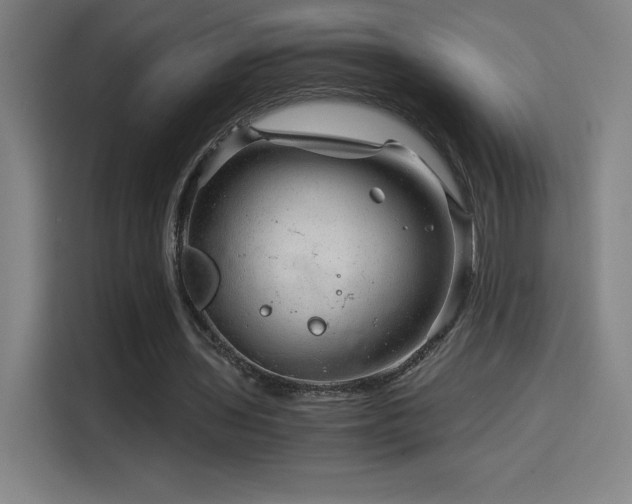 X0000114430435200910161338