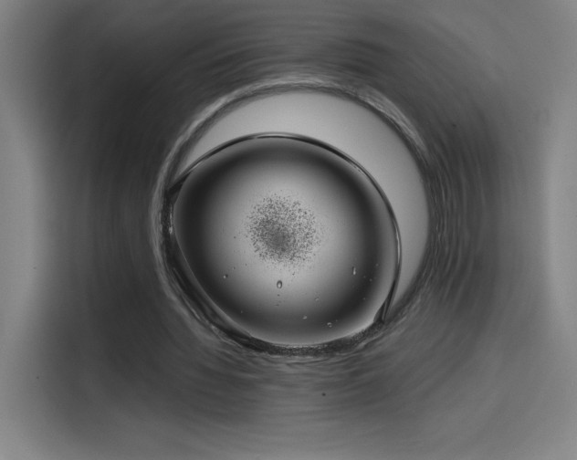 X0000114430436200910161338