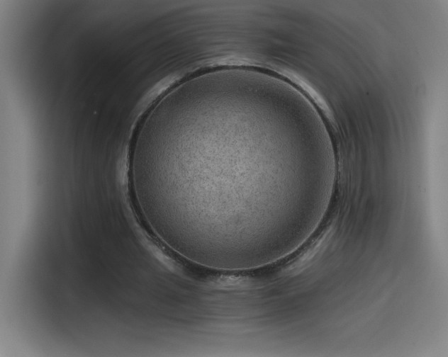 X0000114430437200910161338