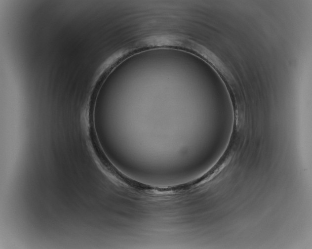 X0000114430438200910161338