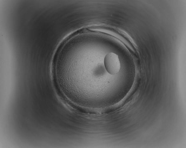 X0000114430439200910161338
