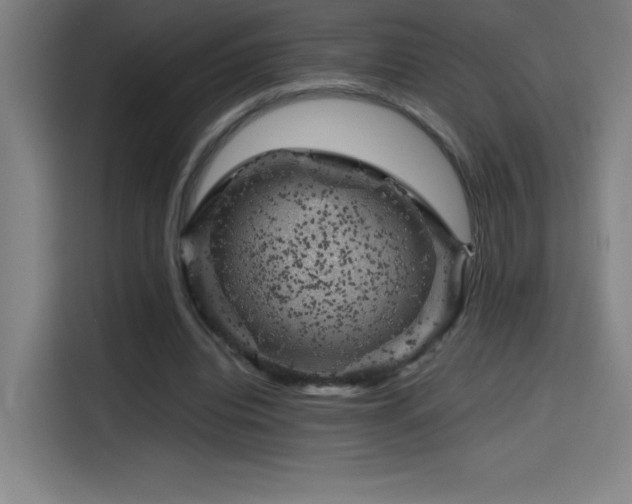 X0000114430440200910161338
