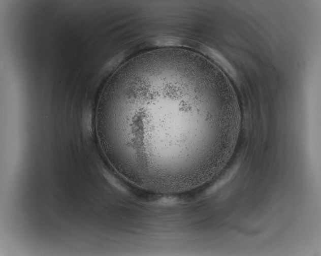 X0000114430441200910161338