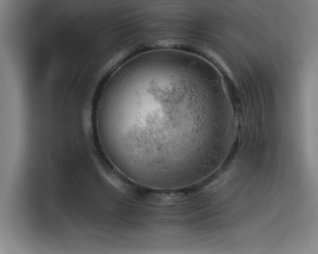 X0000114430443200910161338