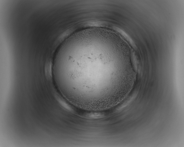 X0000114430445200910161338