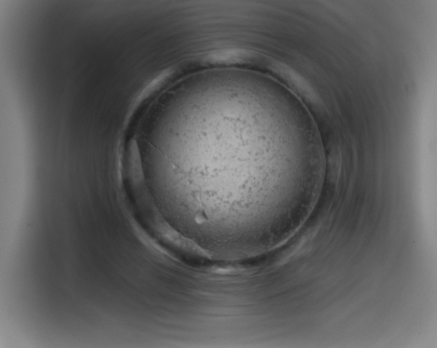 X0000114430446200910161338
