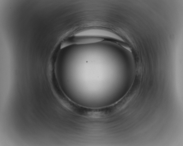 X0000114430448200910161338
