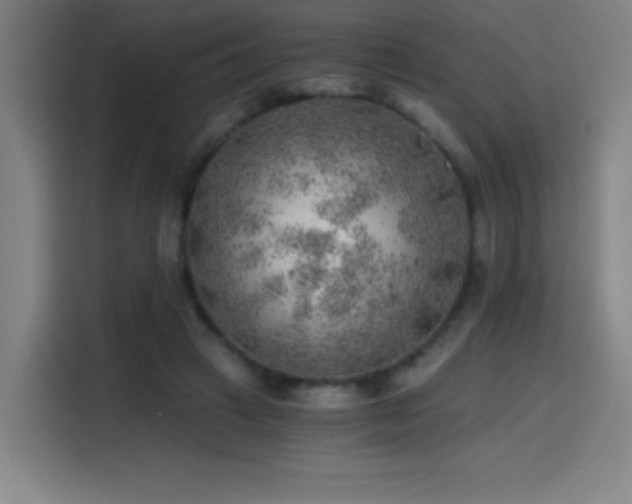 X0000114430449200910161338