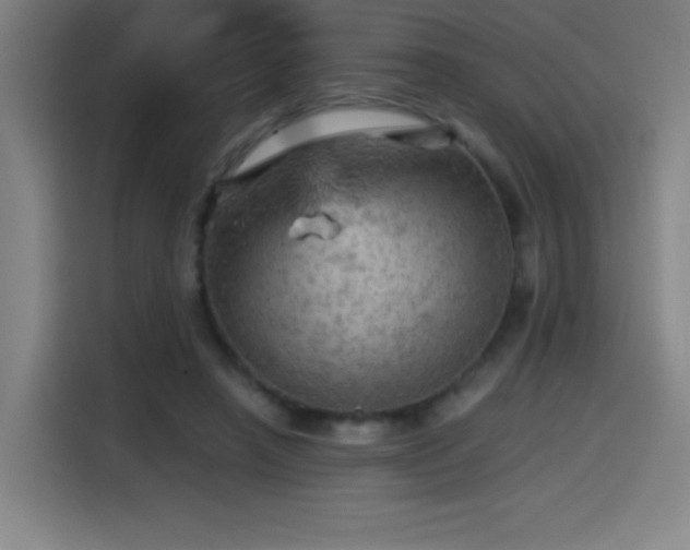X0000114430450200910161338
