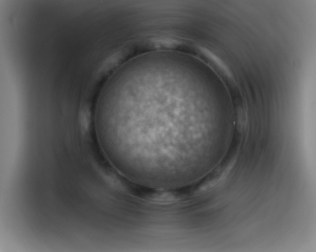 X0000114430451200910161338