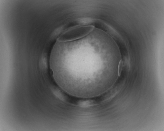 X0000114430452200910161338