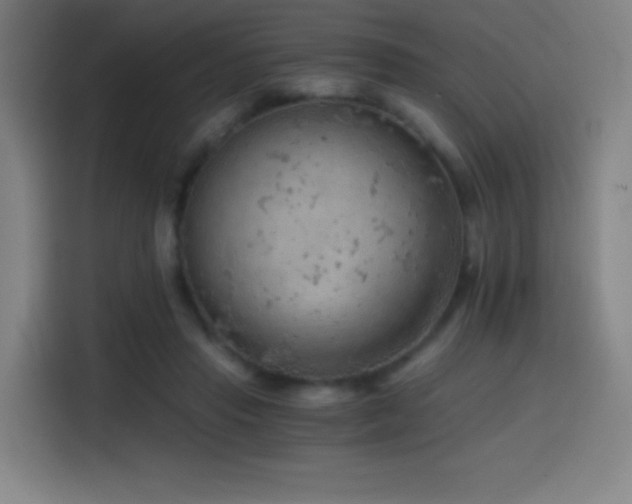 X0000114430453200910161338