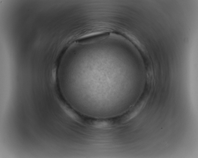 X0000114430454200910161338