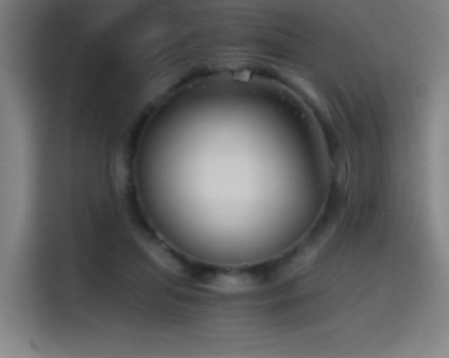 X0000114430455200910161338