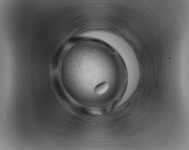 X0000114430456200910161338