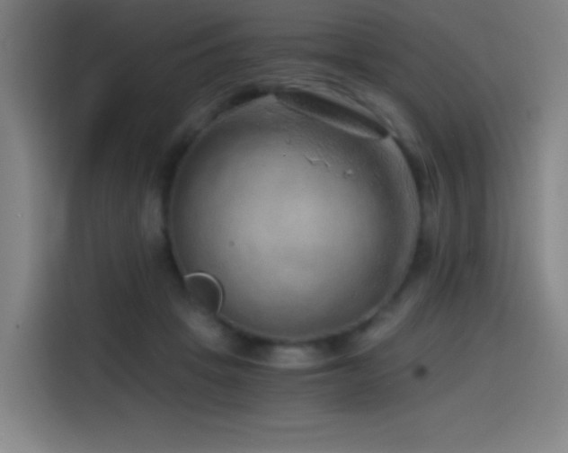 X0000114430457200910161338