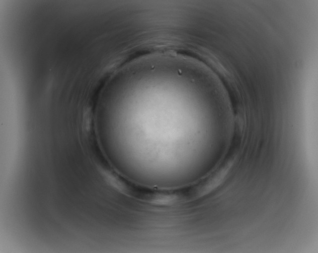 X0000114430458200910161338