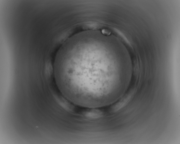 X0000114430459200910161338