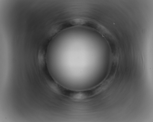X0000114430460200910161338