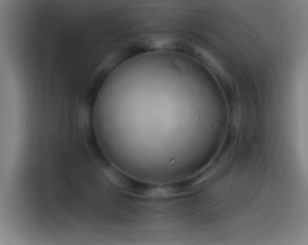 X0000114430461200910161338