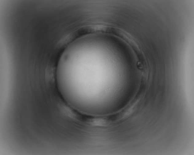 X0000114430462200910161338