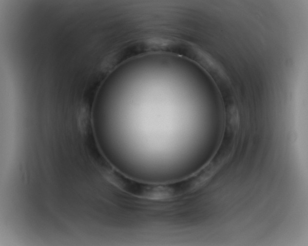 X0000114430463200910161338